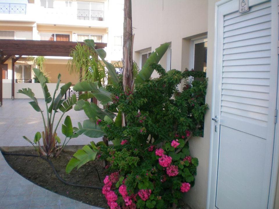 104 Excellent 2 Bed Apartment With Pool View, Ac & Gym! Perivolia Exterior photo