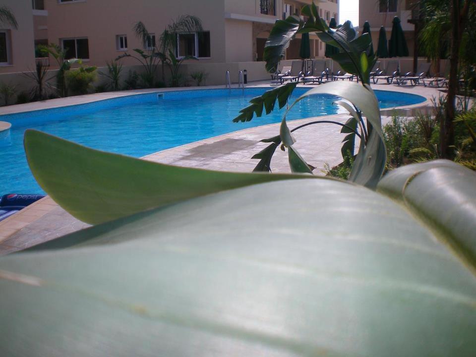 104 Excellent 2 Bed Apartment With Pool View, Ac & Gym! Perivolia Exterior photo